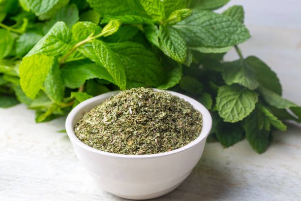 Fresh and dry mint on a white background